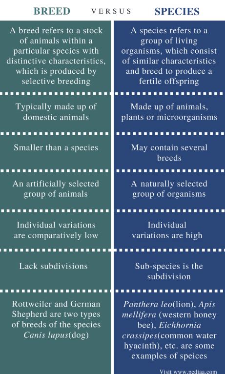 Difference Between Breed and Species | Definition, Purpose, Examples