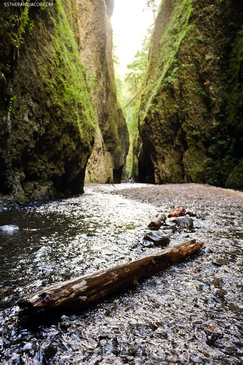 The Oneonta Gorge Hike to Lower Oneonta Falls » Local Adventurer