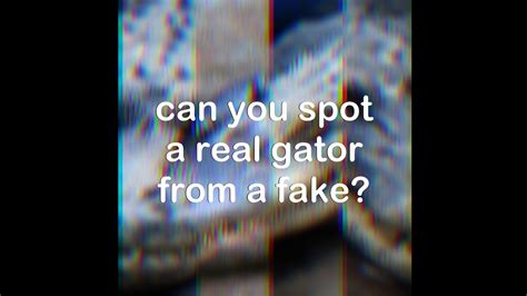 Can You Spot A Real Alligator Among Fakes Youtube