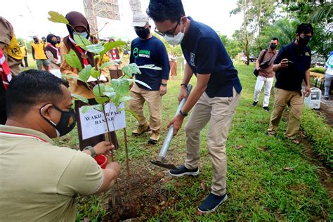 Hijaukan Kalimantan Selatan, 10 Ribu Bibit Pohon Ulin Ditanam Serentak ...