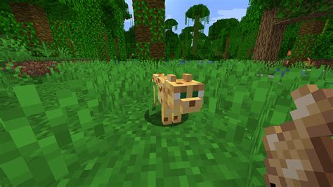 Mastering The Art Of Taming How To Tame Ocelot In Minecraft Scalacube