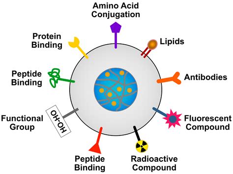 Ijms Free Full Text Nanoparticle Mediated Combination Therapy Two