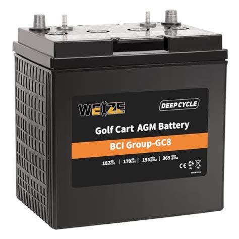 5 Best 8 Volt Golf Cart Batteries for Extended Play and Performance