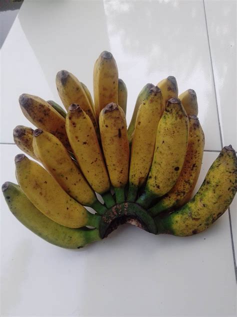 Pisang Raja Siem 1 Sisir Lazada Indonesia