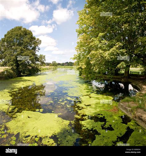 bathing place sudbury suffolk  res stock photography  images