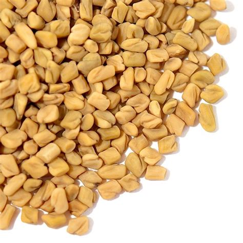 Fenugreek Seeds The Spice Monē