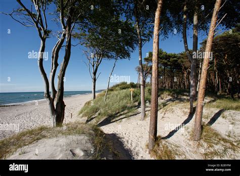 Western pomerania lagoon area national park hi-res stock photography and images - Alamy