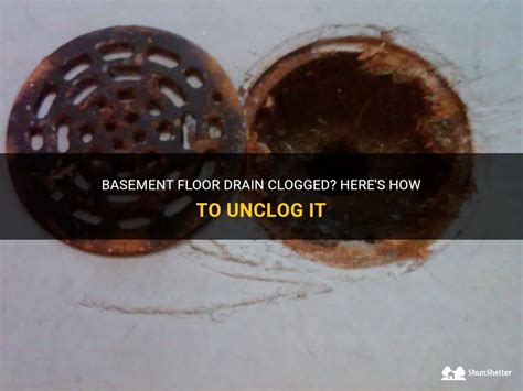 Basement Floor Drain Clogged Here S How To Unclog It ShunShelter