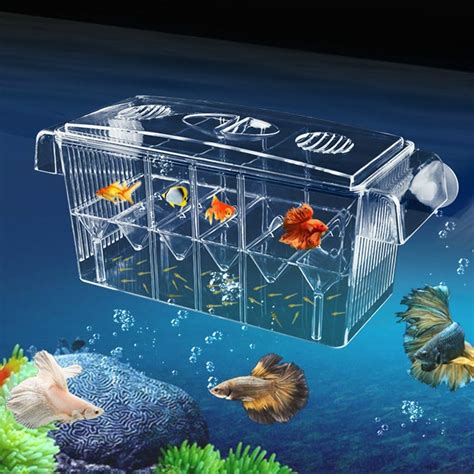 Amazon 4 Rooms HD Fish Breeding Box Aquarium Breeding Box