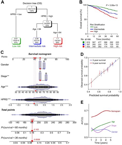 A Survival Decision Tree And Nomogram Were Generated To Improve Risk