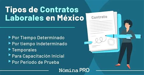 Cu Les Son Los Tipos De Contratos