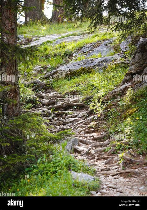 A hiking trail in the Bernese Oberland, Switzerland Stock Photo - Alamy