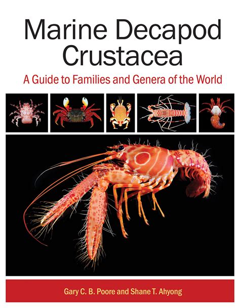 Marine Decapod Crustacea A Guide To Families And Genera Of The World