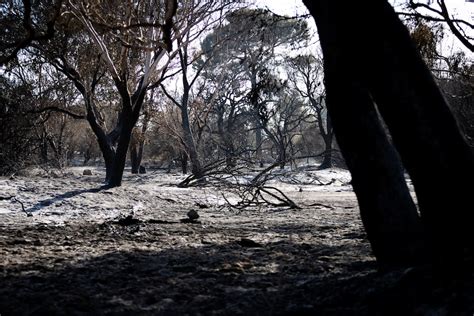 Bushfire emergency continues in Perth's north-east as firefighters seize on 'favourable' change ...