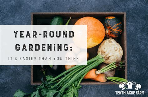 Year-Round Gardening: It's Easier Than You Think - Tenth Acre Farm