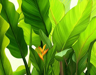 AKHMAD on Behance