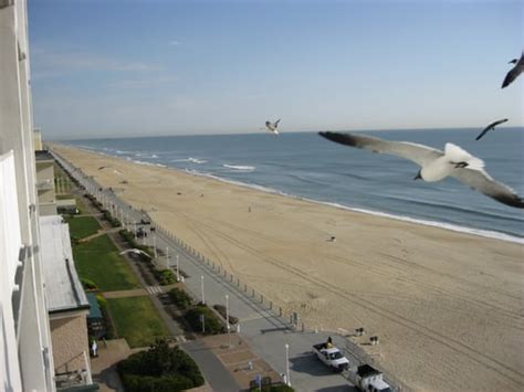 Dolphin Inn the - Hotels - Virginia Beach, VA - Yelp