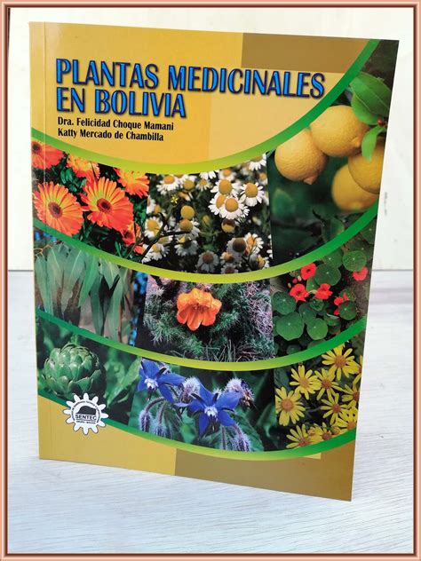 Descubre La Diversidad Y Beneficios De Las Plantas Medicinales En Bolivia