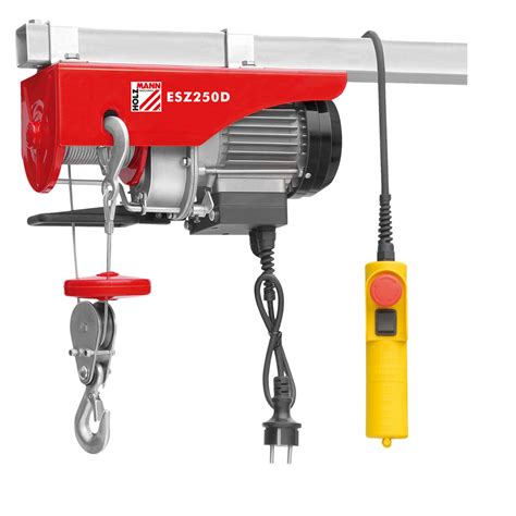 Holzmann Esz D Electric Hoist Kg Mts Direct Dublin