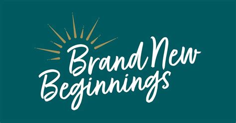 The Value Generator Programme — Brandnewbeginnings