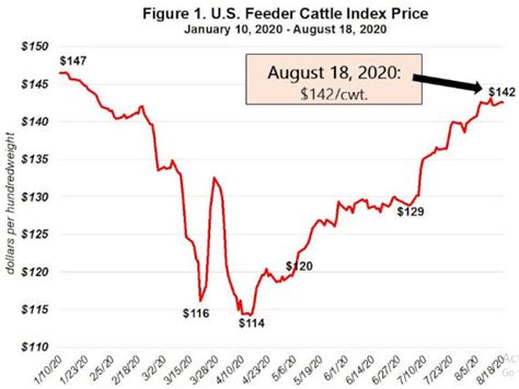 The 2020 Us Beef Cattle Market And Current Economic Conditions