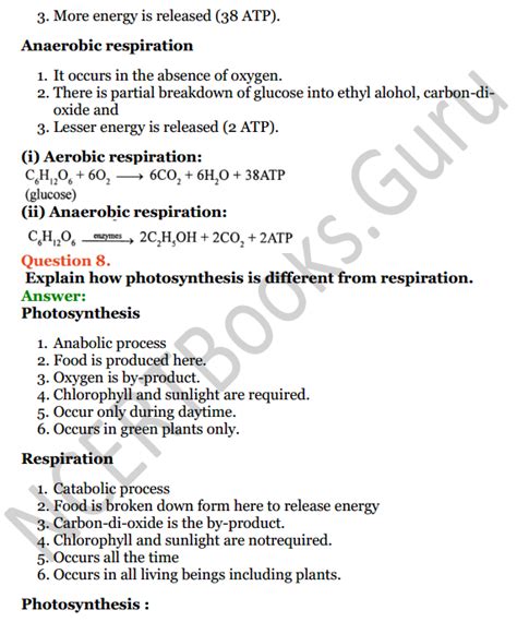 Selina Concise Biology Class 7 ICSE Solutions Chapter 4 Photosynthesis