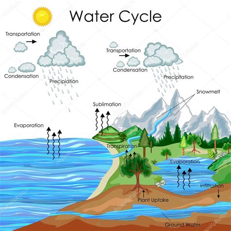 Desenhos Do Ciclo Da Agua Edulearn