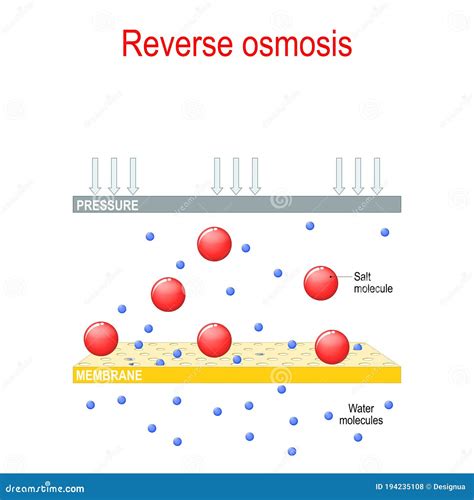 Reverse Osmosis Chemical Experiment Stock Vector Illustration Of