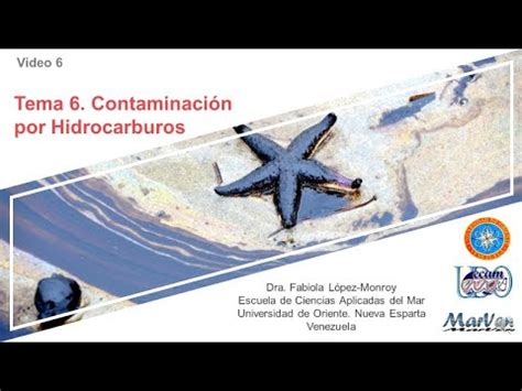 Contaminaci N Por Hidrocarburos En El Mar Youtube