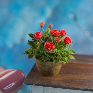 🌹My new miniature roses in a ceramic pot. Roses are made of cold porcelain, the pot is real ...