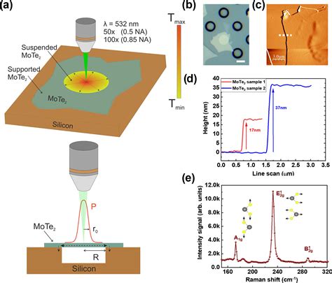 Unraveling Thermal Transport Properties Of Mote2 Thin Films Using The