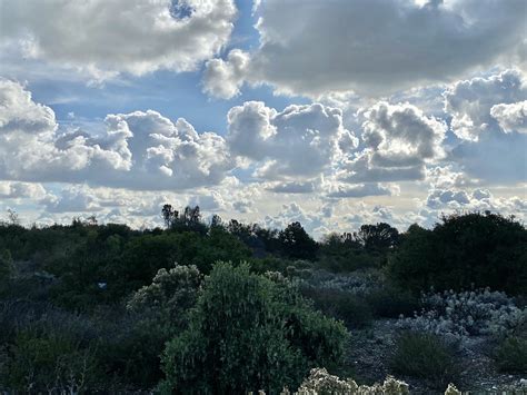 Claremont Botanical Garden - Photo by MK | Botanical gardens, Landscape ...