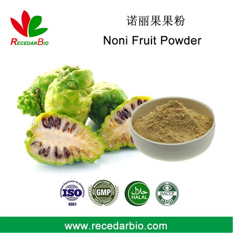 100 Natural Noni Fruit Juice Powder Noni Powder China Noni Fruit