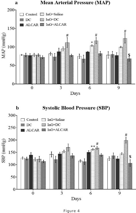 Figure 4 From Role Of Carnitine In Regulation Of Hypoglycemia Induced