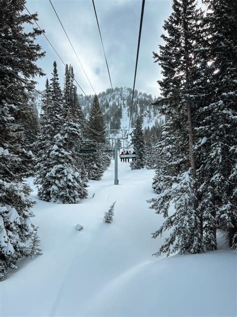 Alta Vs Snowbird Which Ski Resort Is Perfect For You