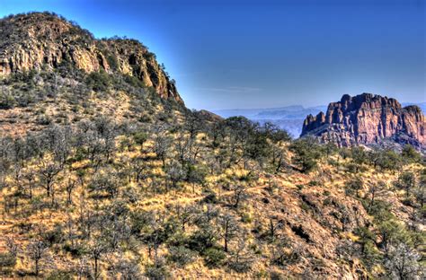 The Hillside At Big Bend National Park Texas Image Free Stock Photo