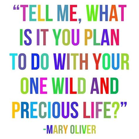 Tell Me What Is It You Plan To Do With Your One Wild And Precious Life