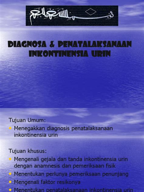 Pdf 2diagnosis And Penatalaksanaan Inkontinensia Urin Ib Dokumentips