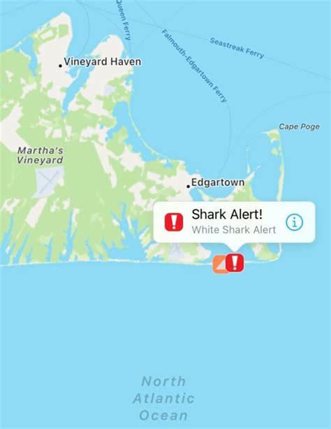 Multiple Great White Shark Sightings Close Beaches After Terrifying New