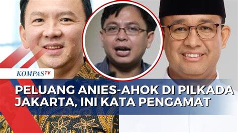 Pengamat Politik Angkat Bicara Soal Peluang Anies Ahok Di Pilkada