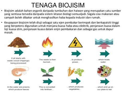 Tenaga Biojisim Apa Yang Kita Patut Tahu Bicara Tentang Tenaga