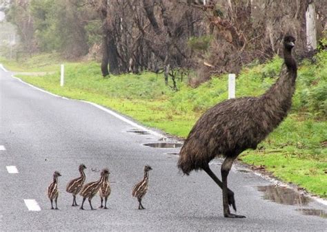 Wilsons Prom National Park - Foster Community Online