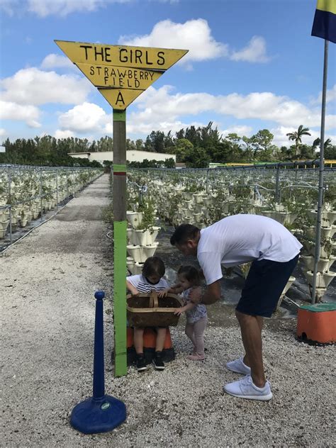 Delray Beach Hidden Gem: Girls Strawberry Farm & Petting Zoo