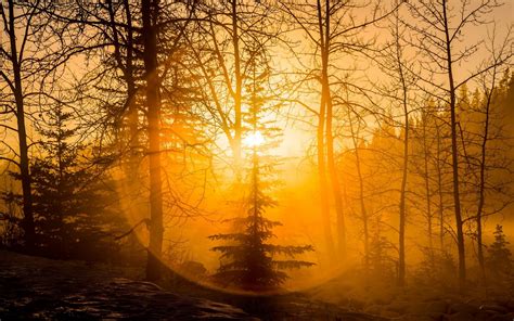 Fondos De Pantalla Luz De Sol Paisaje Bosque Puesta De Sol Naturaleza Cielo Nieve