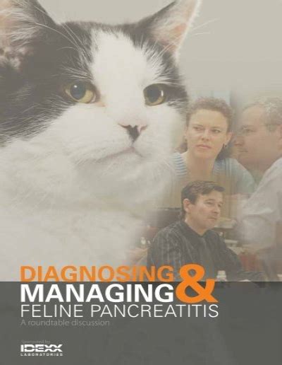 Diagnosing And Managing Feline Pancreatitis Idexx Laboratories