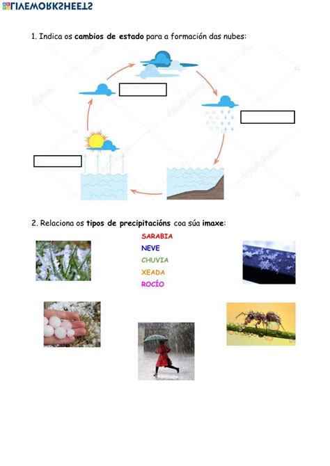 Fenómenos Atmosféricos Worksheet Live Worksheets