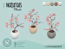 The Sims Resource Naturalis Plants II