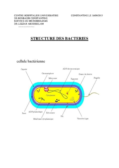 Structure bactérienne cours 1 CENTRE HOSPITALIER UNIVERSIATIRE