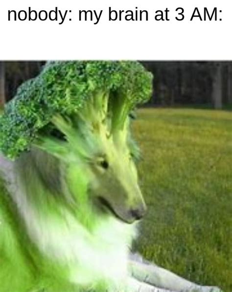 broccoli dog Blank Template - Imgflip