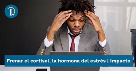 Frenar El Cortisol La Hormona Del Estrés Impacto